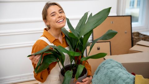 2149242150_759d28abf61d9177e3041fbea9155def_480x270